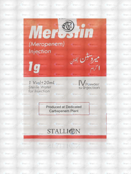 Merostin Iv Injection 1G (1 Box = 1 Injection)